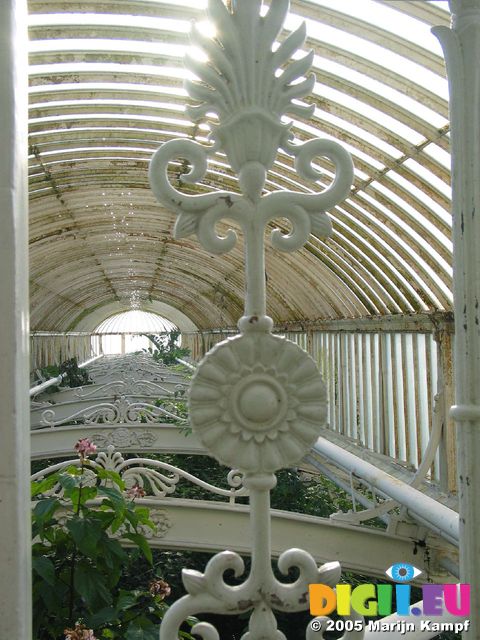 15385 View over tree tops in Palm house